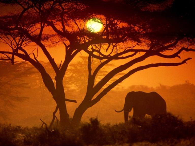 Kenyadaki ulusal parklar