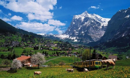 Grindelwald alpleri