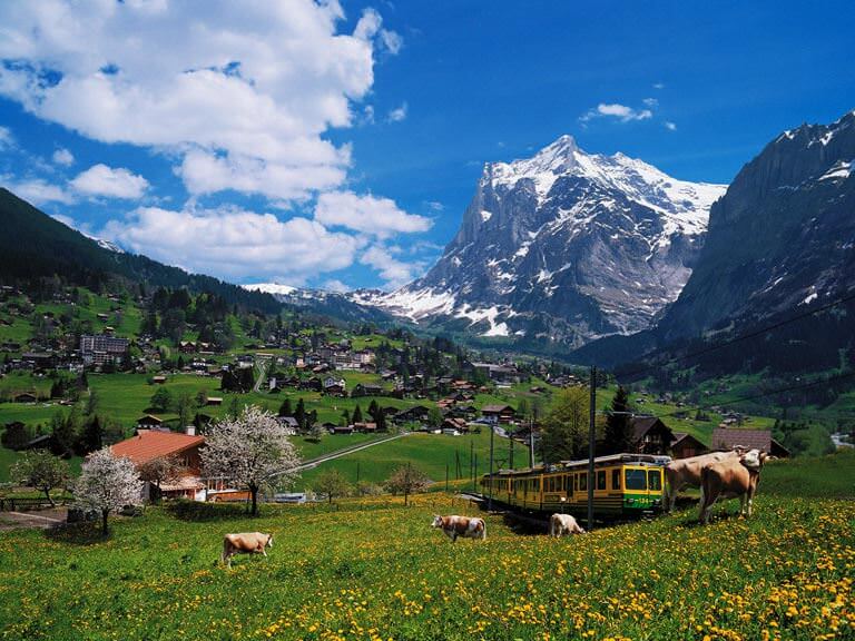 Alplerin kalbinde bir köy: Grindelwald