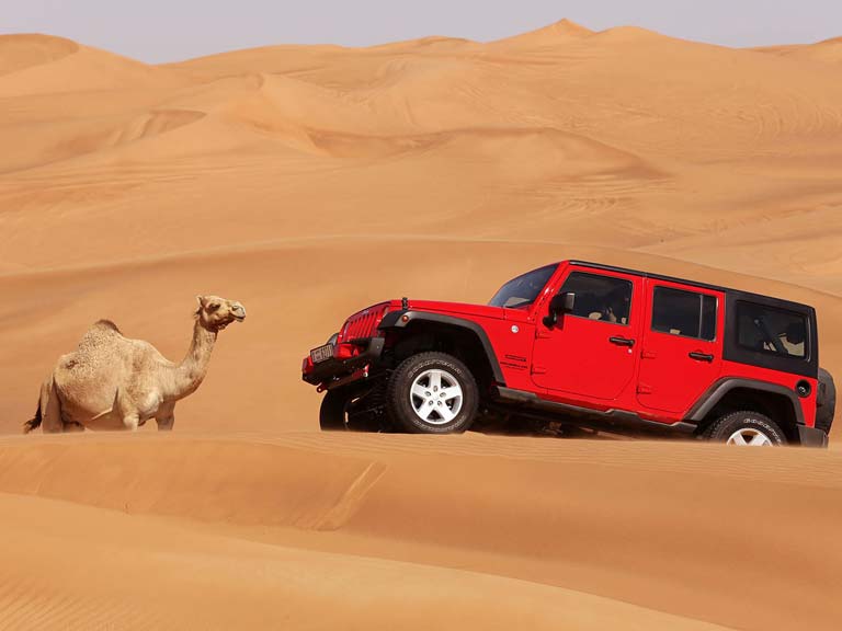 Dubai çöl safarisi hakkında bilgi